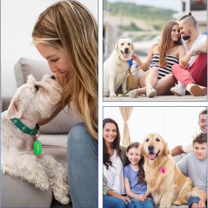 Personalized Aluminum Dog Tags