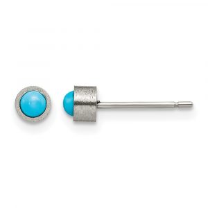 Titanium Brushed Turquoise 4mm Stud Earrings