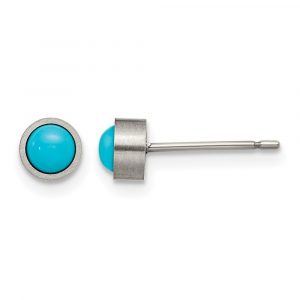 Titanium Brushed Turquoise 5mm Stud Earrings