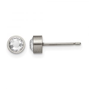 Titanium Brushed CZ 5mm Stud Earrings