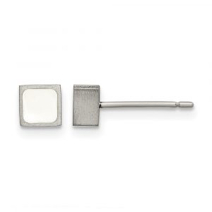 Titanium Brushed with White Enamel Square Post Earrings